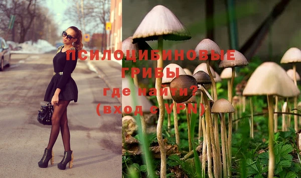 ГАЛЛЮЦИНОГЕННЫЕ ГРИБЫ Лагань