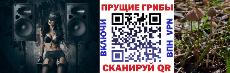 Псилоцибиновые грибы GOLDEN TEACHER Вуктыл